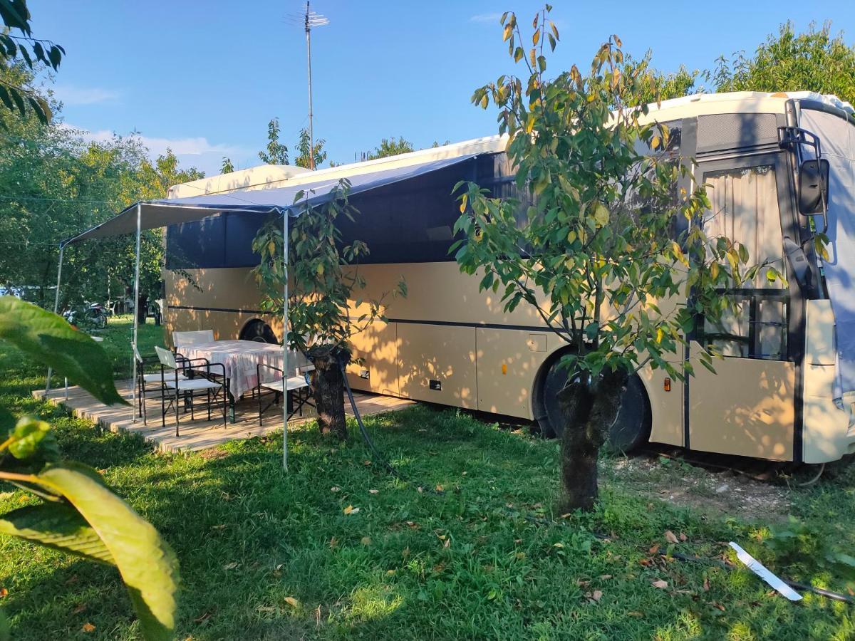 Отель Terrebiobus Visnadello Экстерьер фото